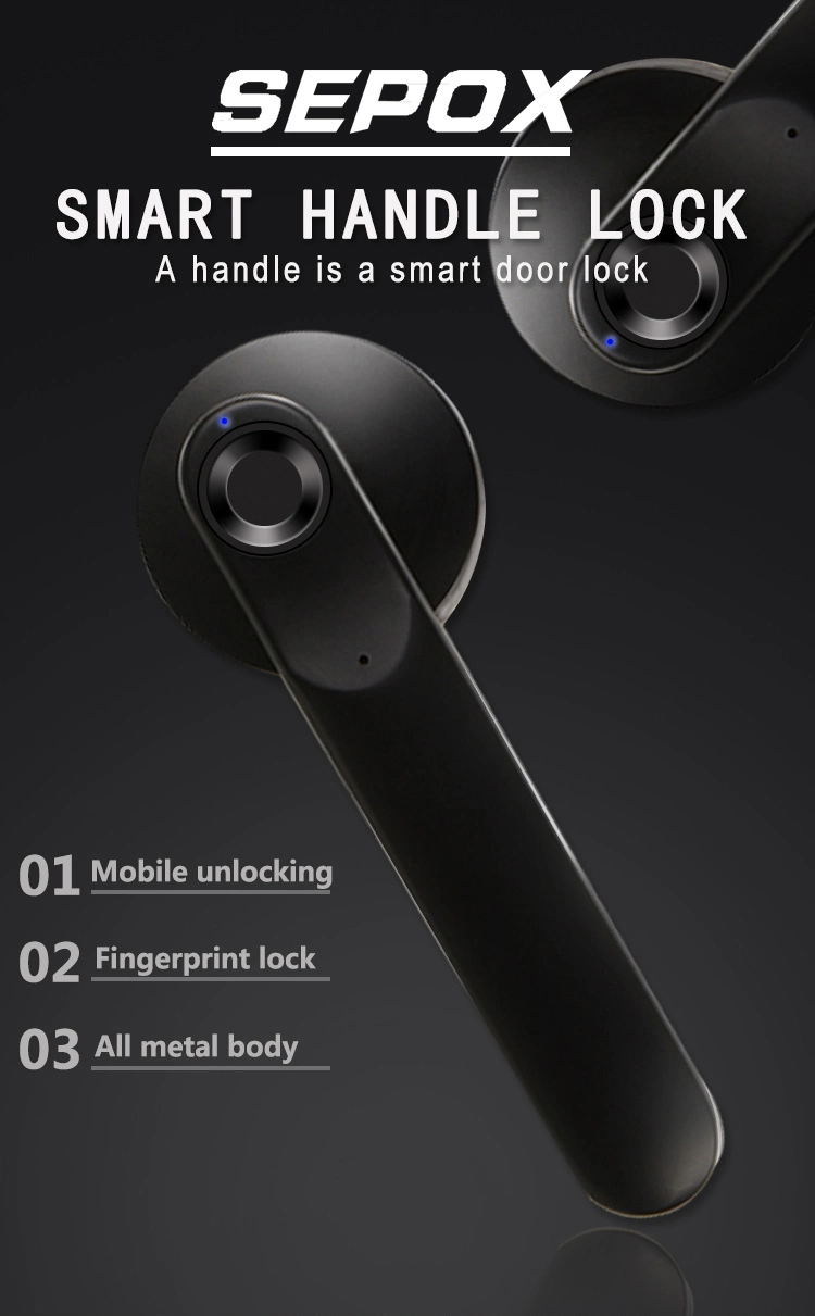 Smart Fingerprint Door Handle Electronic Drive Lock Easy Installation Door Lock