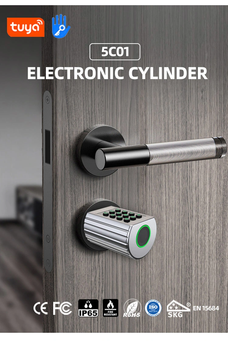 Jixin (5C01) Safety Door Handle Password Keyless Fingerprint Electronic Cylinder Lock