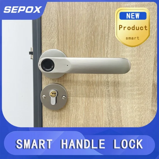 Smart Fingerprint Door Handle Electronic Drive Lock Easy Installation Door Lock