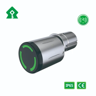 Jixin Wholesale Cheap Lp65 Anti-Water Protection Outdoor Smart Door Cylinder Lock