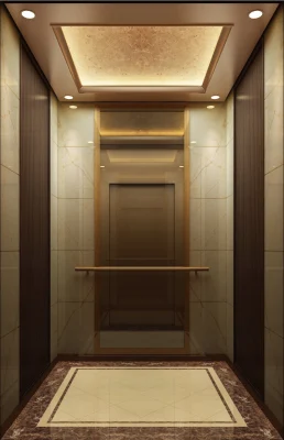 Gold Mirror Etching Stainless Steel Passenger Lift