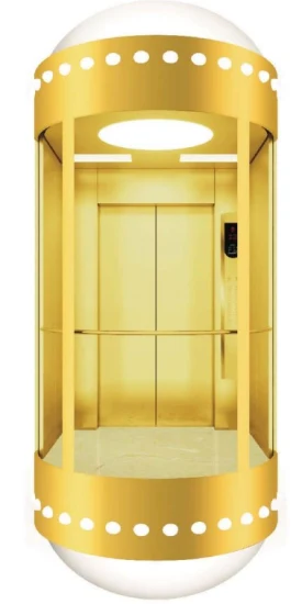 Various Design Passenger Elevator/ Passenger Lift