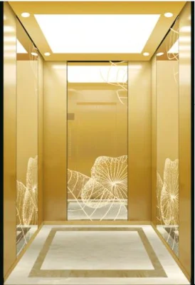 Fujixun Gold Mirror Stainless Steel Beautiful Classic Passenger Lift