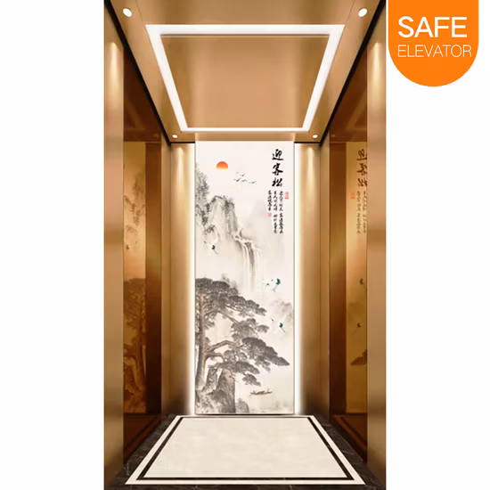 Fujixun Gold Mirror Stainless Steel Beautiful Classic Passenger Lift