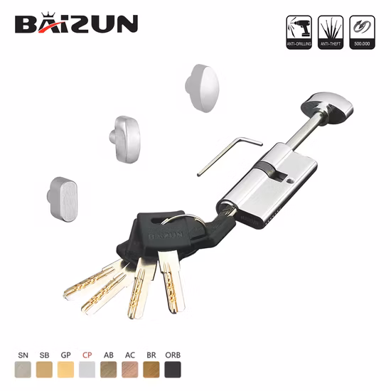 Single Open Brass Door Lock Cylinder with 3 Open Molded Keys