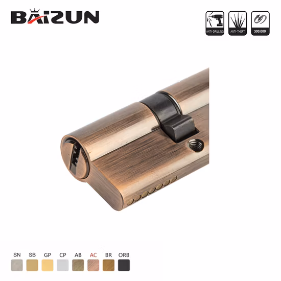 Anti-Break ISO9001 Polished Brass Modern Euro Door Cylinder Locks for Garage Door