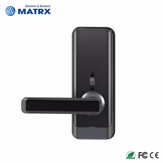 Smart Digital Handle Lock with Fingerprint Password and Tuya Function